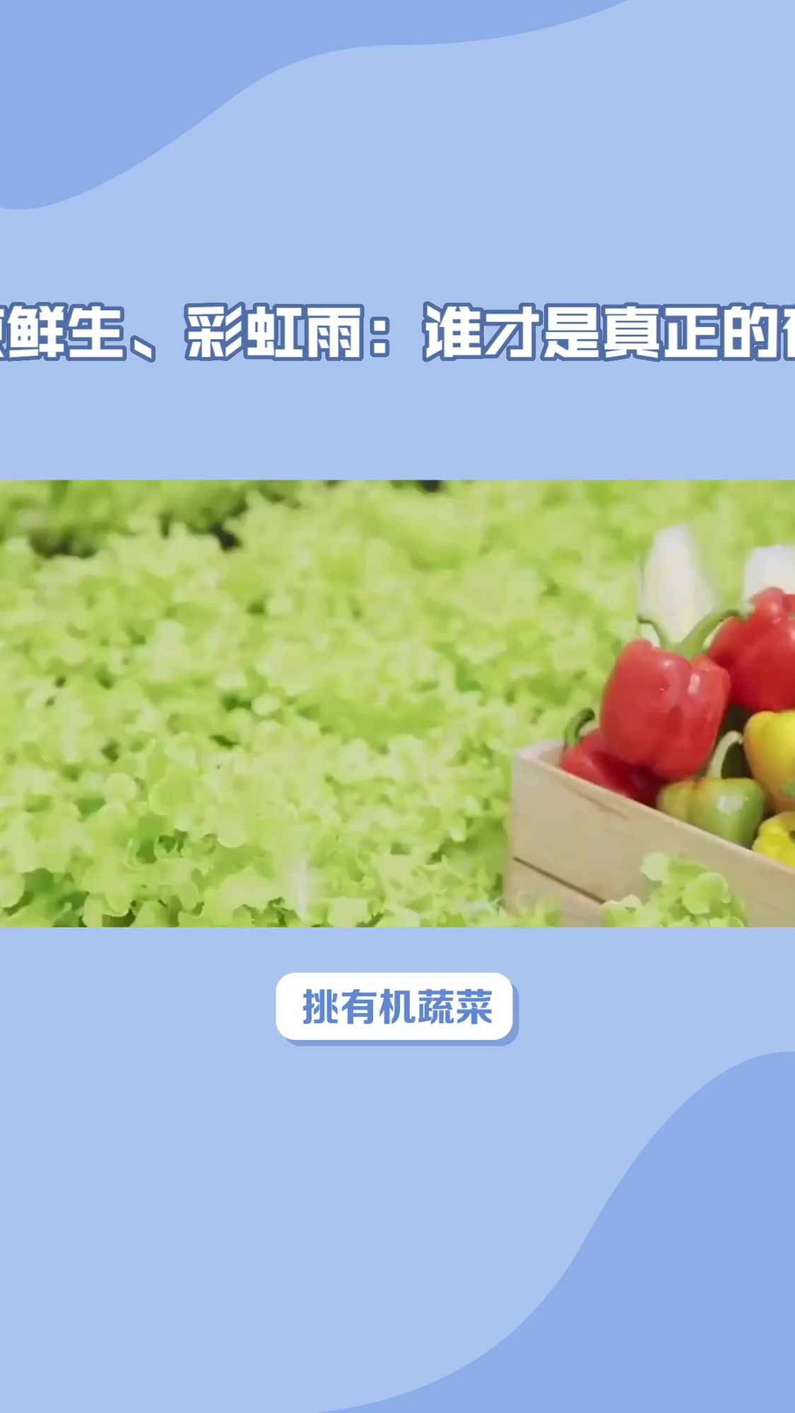 有机蔬菜哪个牌子质量好？三大品牌实测，吃得安心才是王道