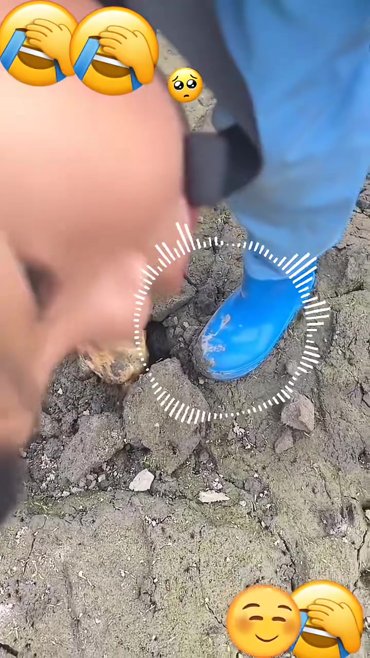 鱼塘干枯，王八钻泥，一逮一个准