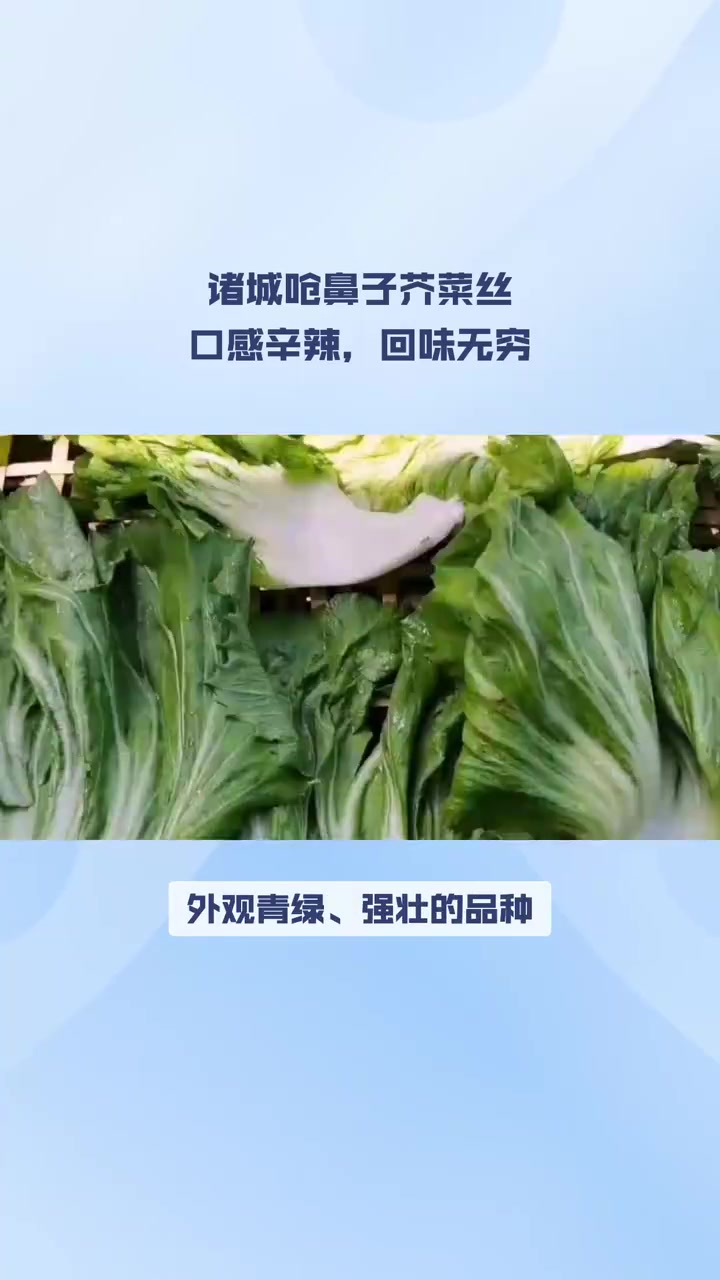 诸城呛鼻子芥菜丝：口感辛辣，回味无穷