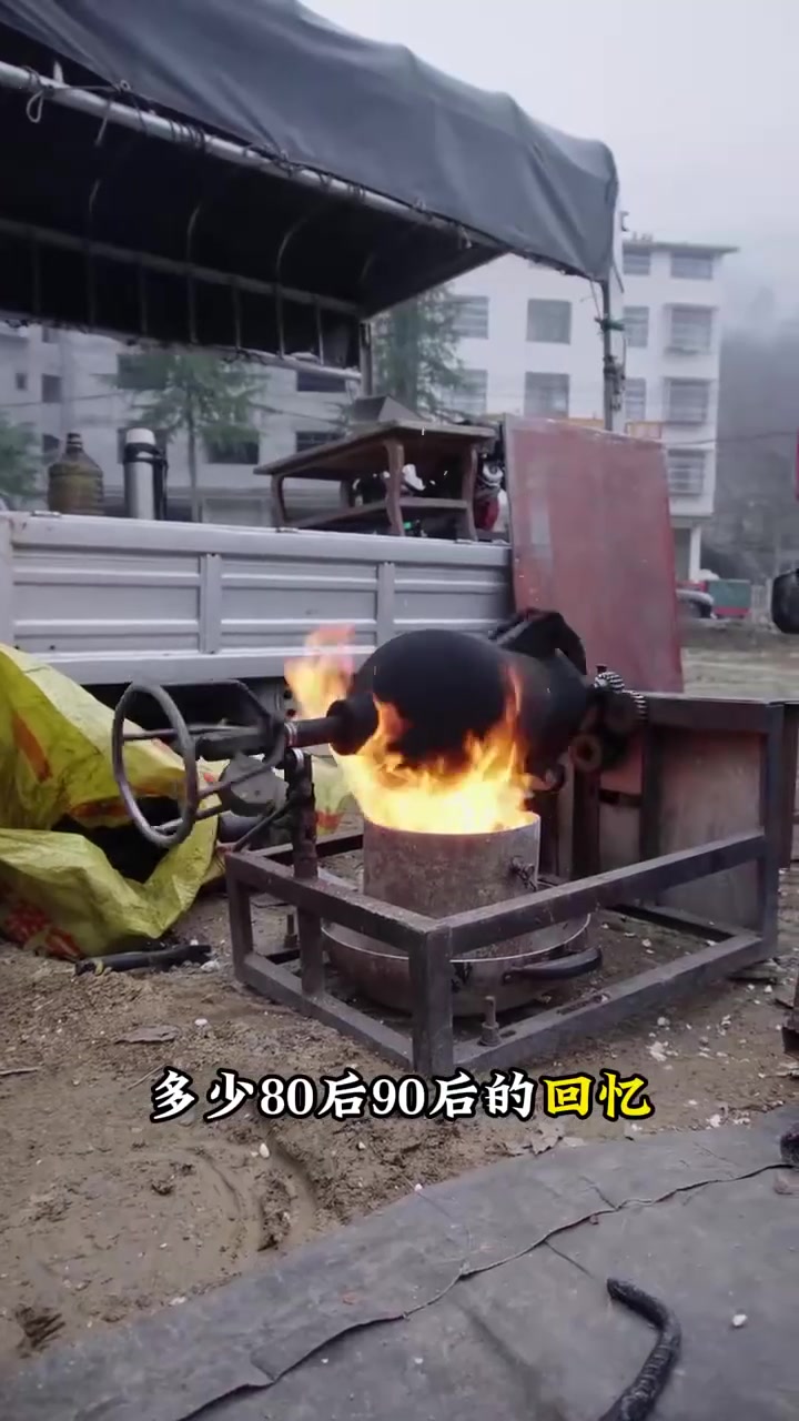 我称双河的包包菜第一好吃
