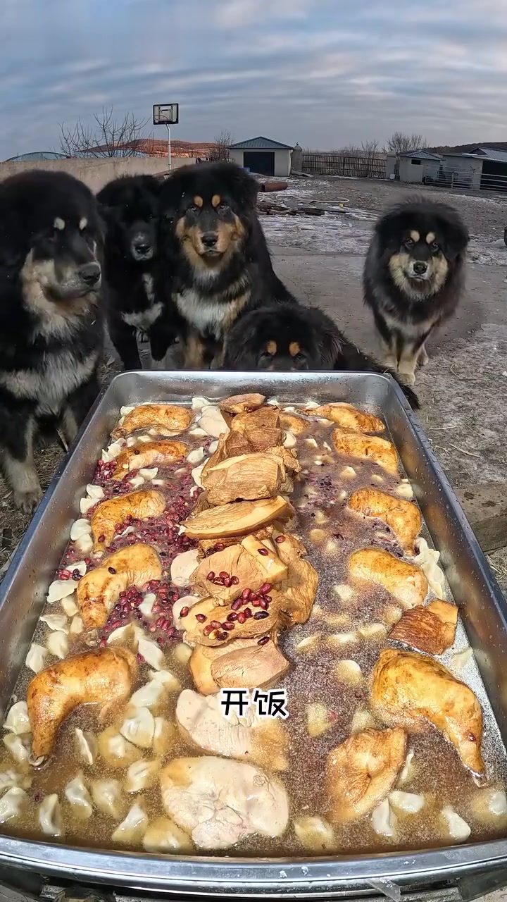 零下三十五℃，牧场保安队户外干饭有多香