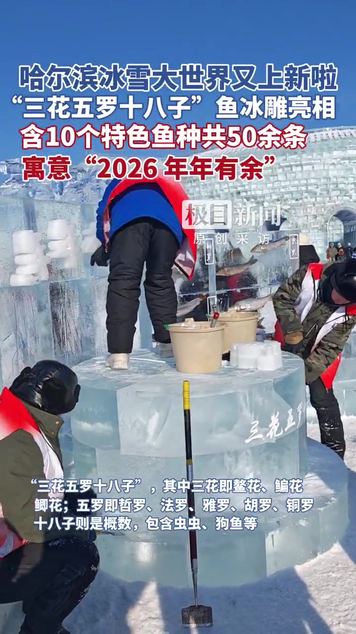 「哈尔滨冰雪大世界又上新了:“三花五罗十八子”鱼冰雕惊艳亮相,含10个特色鱼种共50余条,