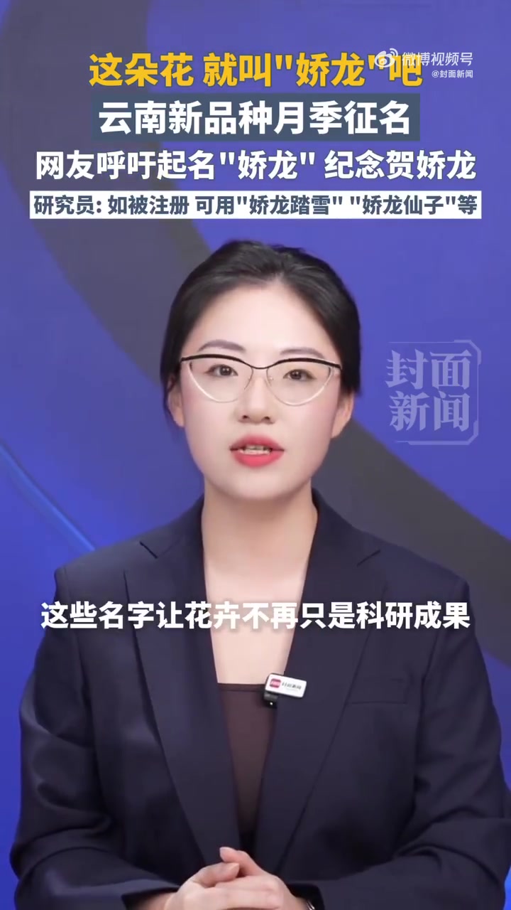 近日,云南月季新品种、编号4815-27的“中国芯”月季的征名活动提前结束,其名称正式确定