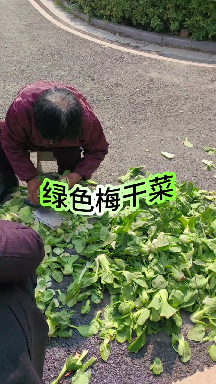 新鲜爽口的绿色梅干菜！