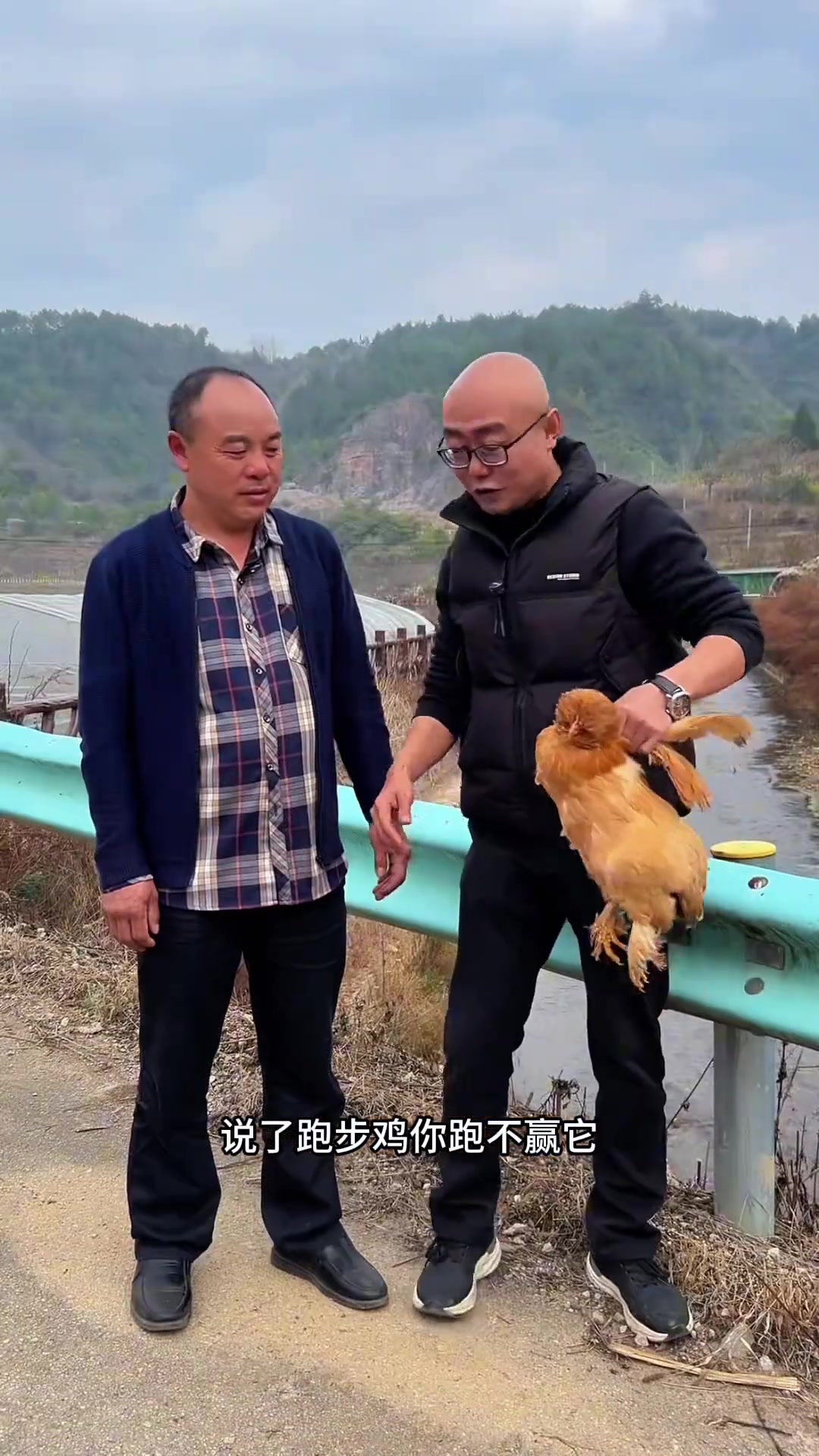 施秉三保寨的北京油鸡,又漂亮又好吃,快带上小伙伴去抓一只过年吧!