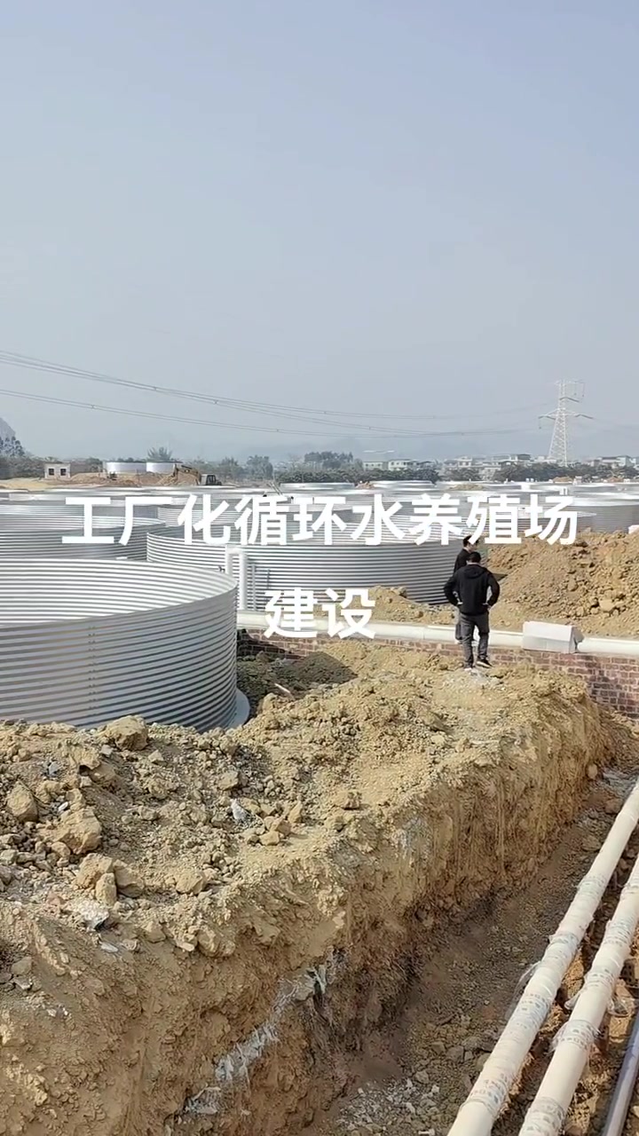 轻松高效的加州鲈鱼养殖！