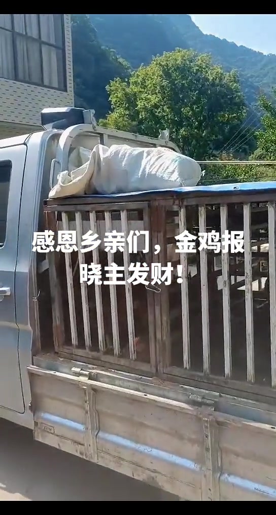 农村养殖人的真实生活