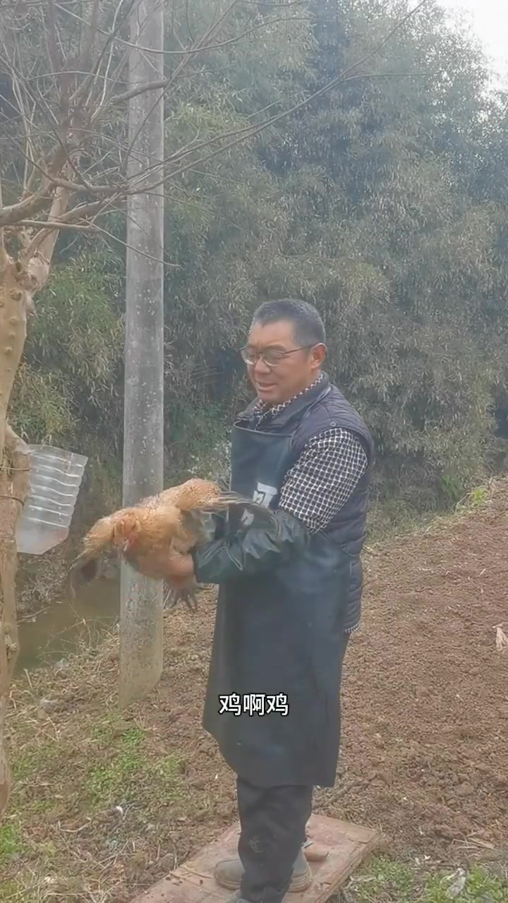 杀鸡要有仪式感