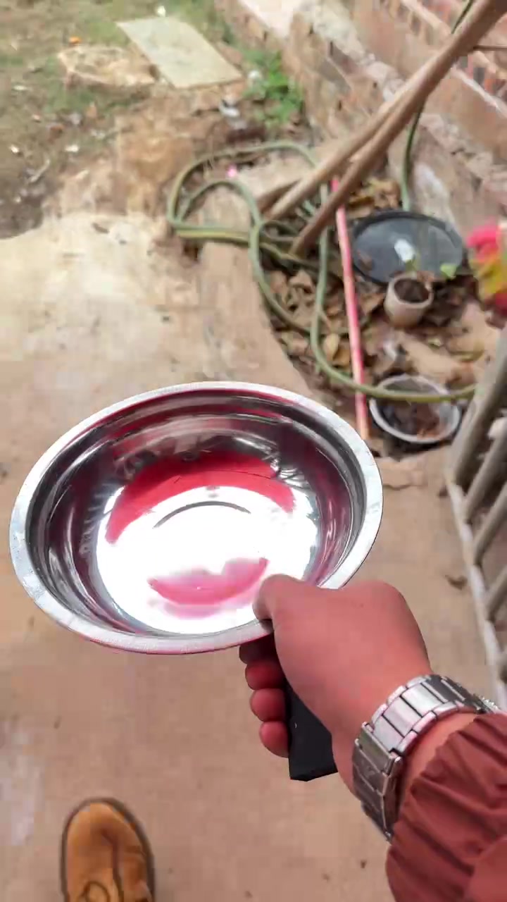 又到了一年一度的炸狗盆环节