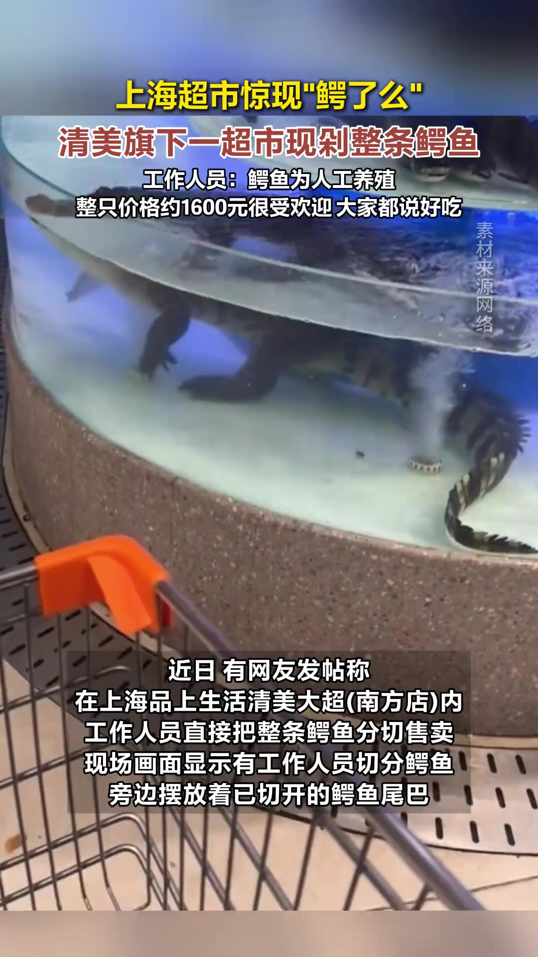 上海超市惊现“鳄了么”，清美旗下一超市现剁整条鳄鱼，工作人员：鳄鱼为人工养殖整只价格约16