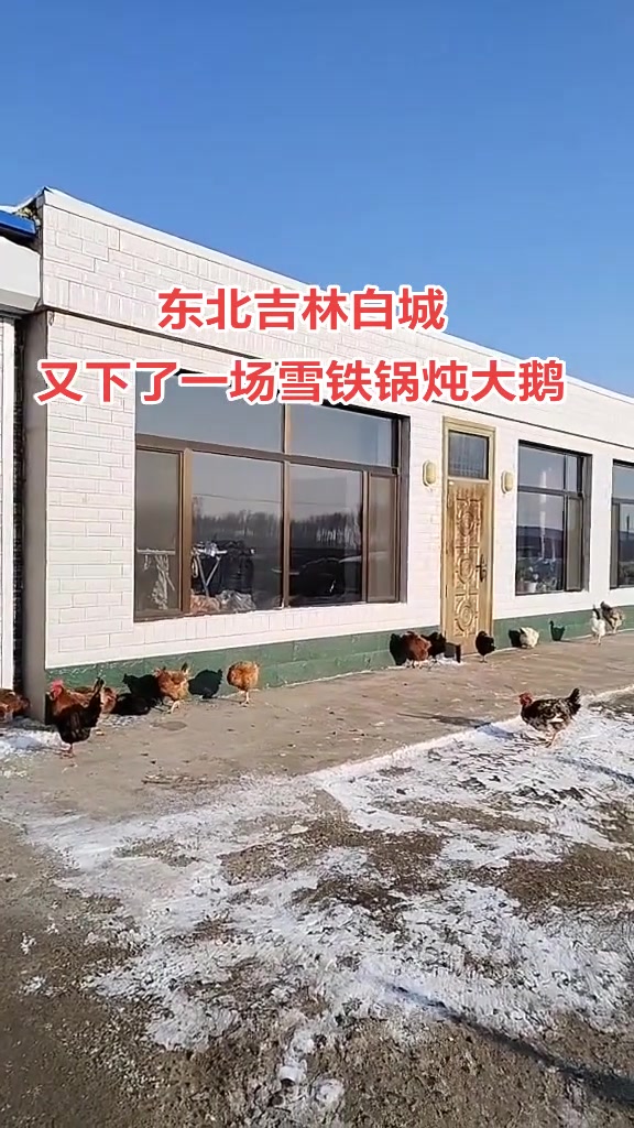 冬天该有的样子冰天雪地