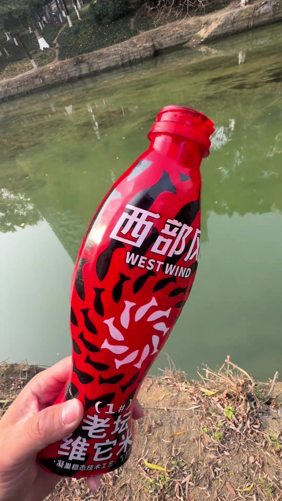 探钓成华区沙河,鲤鱼未获,沙沟不少