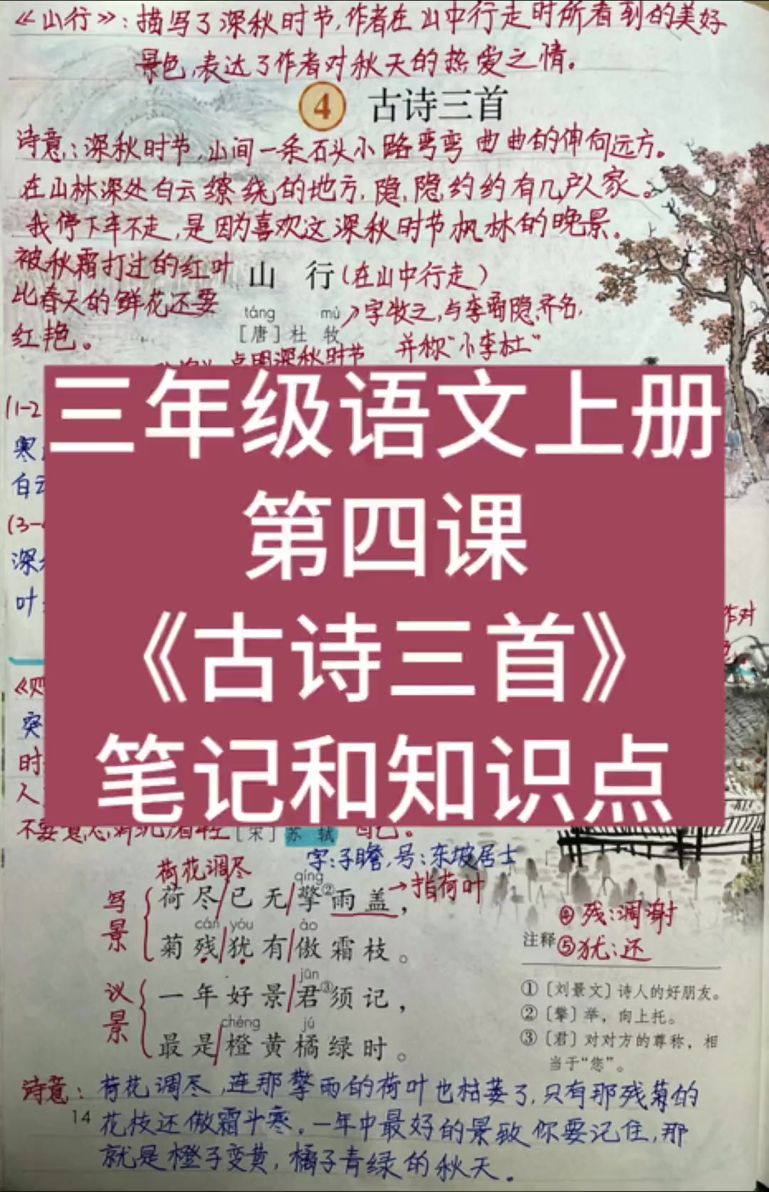 三年级语文上册古诗三首，课堂笔记与知识点精讲