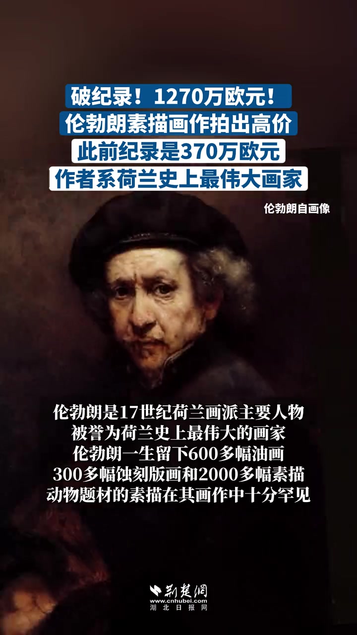 破纪录，荷兰史上最伟大的画家