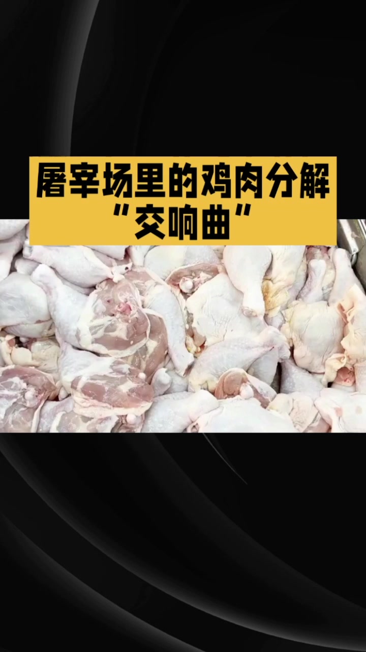 鸡屠宰场分解鸡块的视频