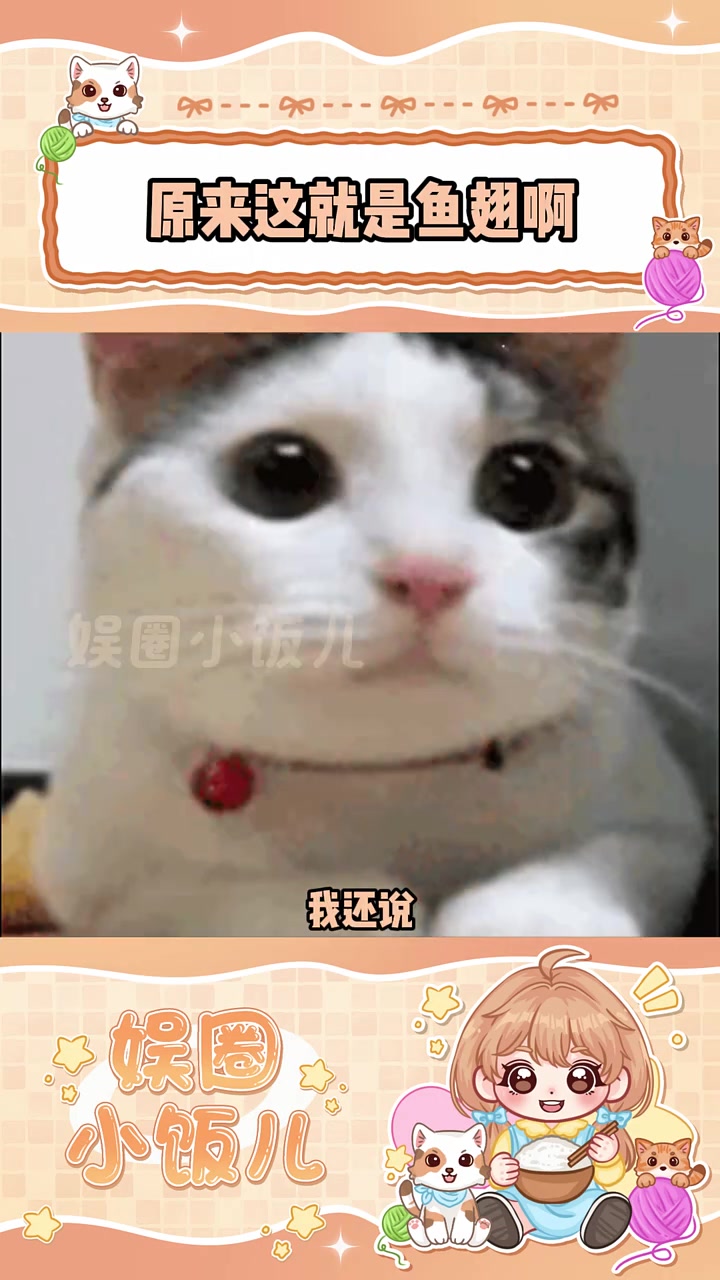 原来鱼翅是这个样子啊