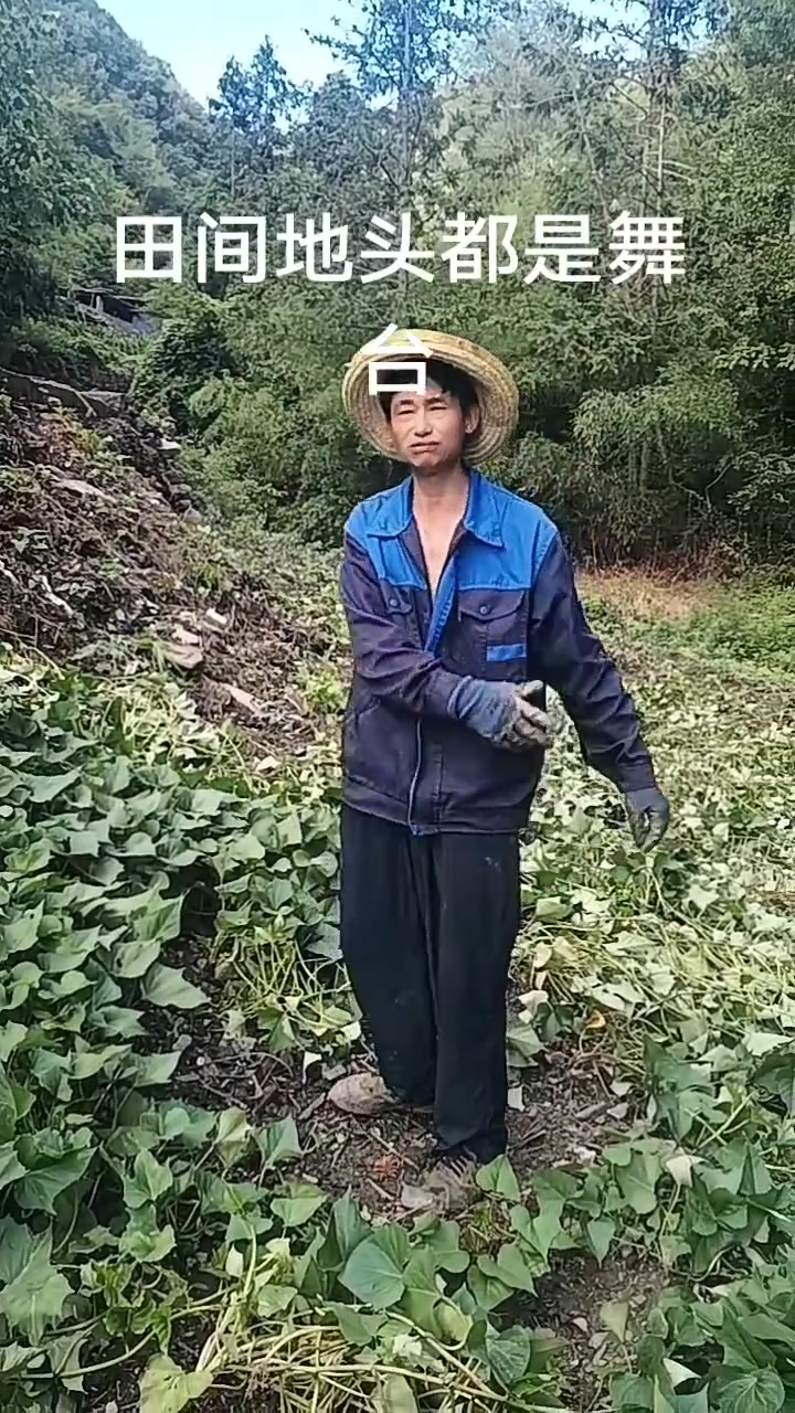 这是猪猪最喜欢吃的食材，红薯藤