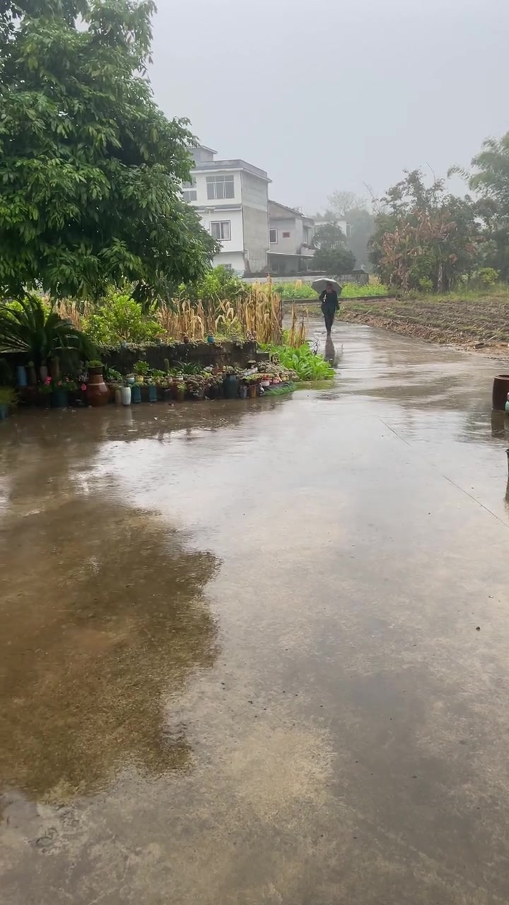 喜欢养普货。喜欢露养，喜欢用大缸种肉肉，每天早晨打开门看到满院子的肉肉心情就会美起来。这样
