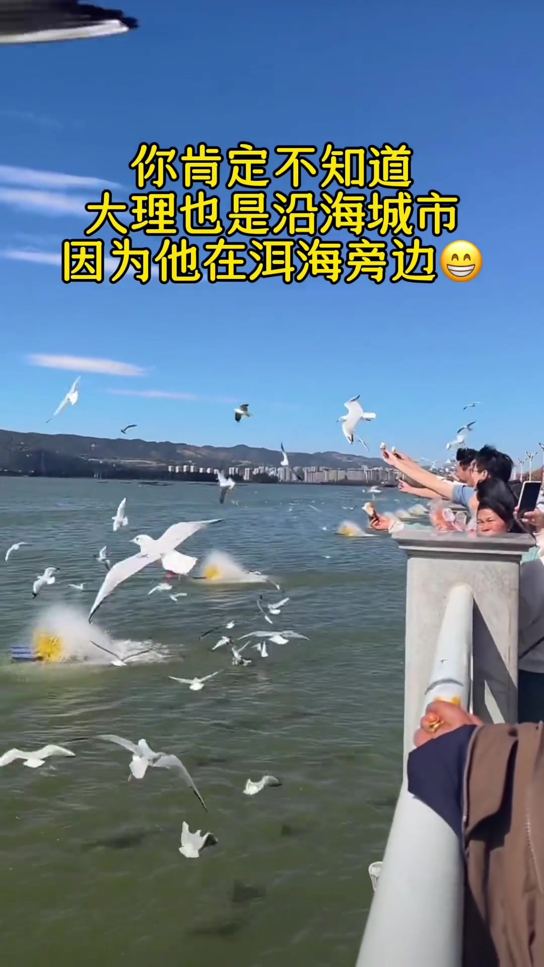 洱海的名字源于其地理位置和自然形态