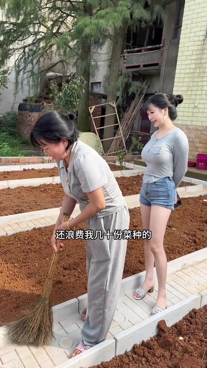 自家小菜园设计