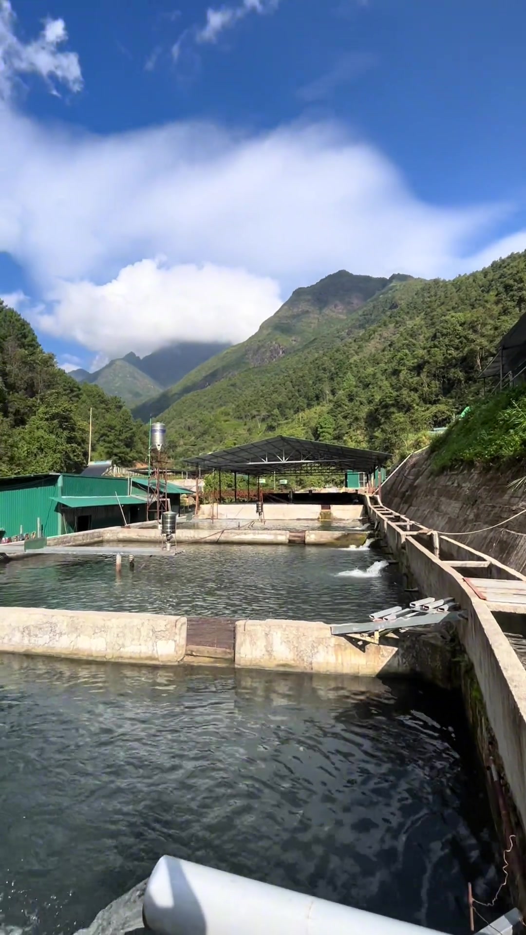 没有海水鱼我们还有山水鱼！来看全球各地兴起的上山养鱼热潮