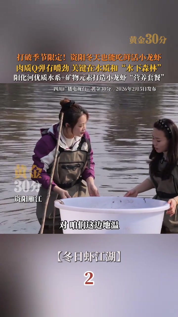 资阳雁江,打破季节限定,资阳冬天也能吃鲜活小龙虾,肉质Q弹有嚼劲,关键在水质和水下森林。阳