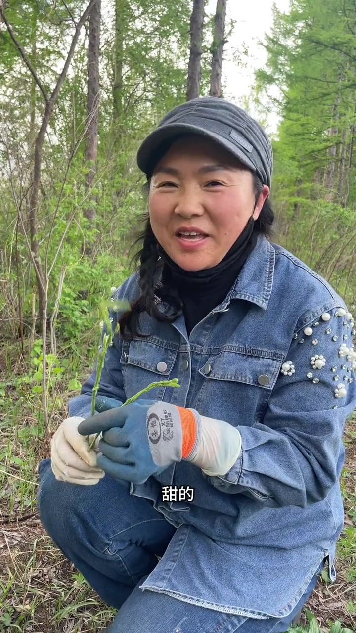 采了10种山野菜，你认识几种呢？