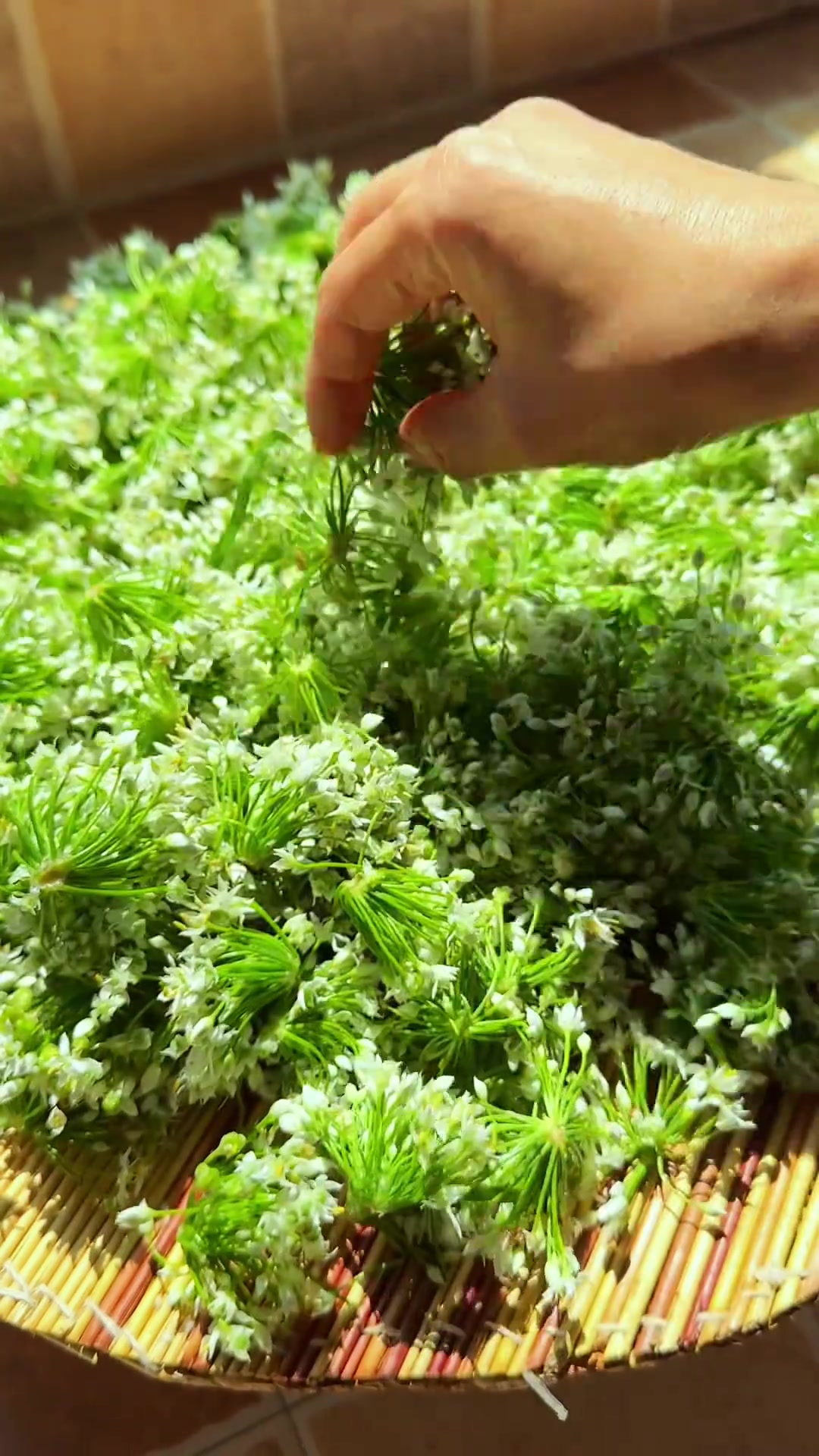 韭菜花辣椒酱，拌面涮锅下饭神器
