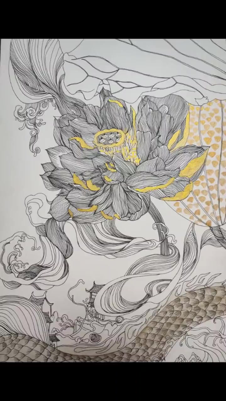 #线描#黑白装饰画#想画就画荷花系列第二幅@汐#汐曦