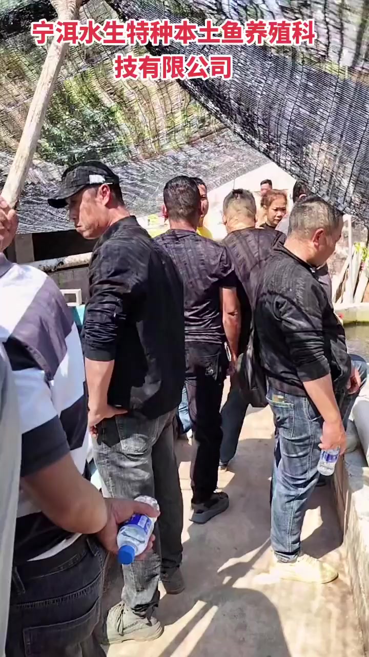 来自不同地方的朋友们，实地参观考察红尾巴鱼养殖基地，够充实的一天