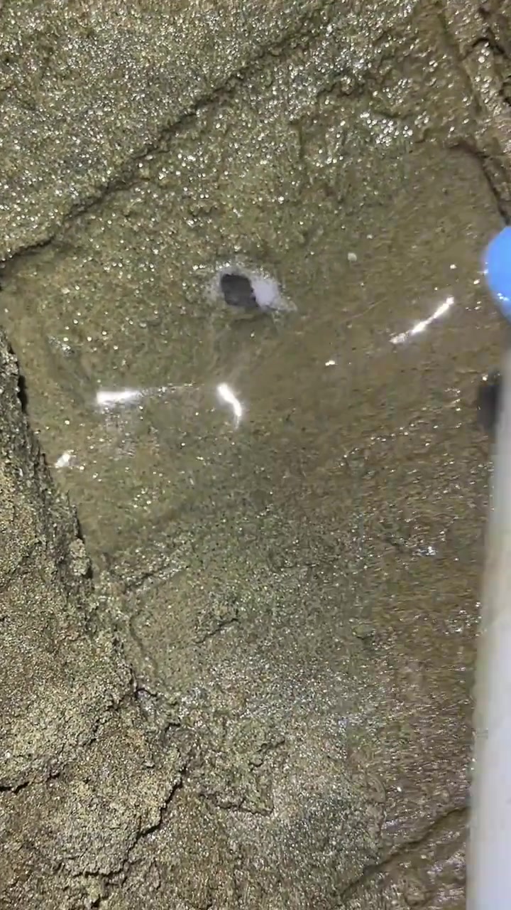 教新手小白是如何挖蛏子的,按照这个方法,不爆桶都不行