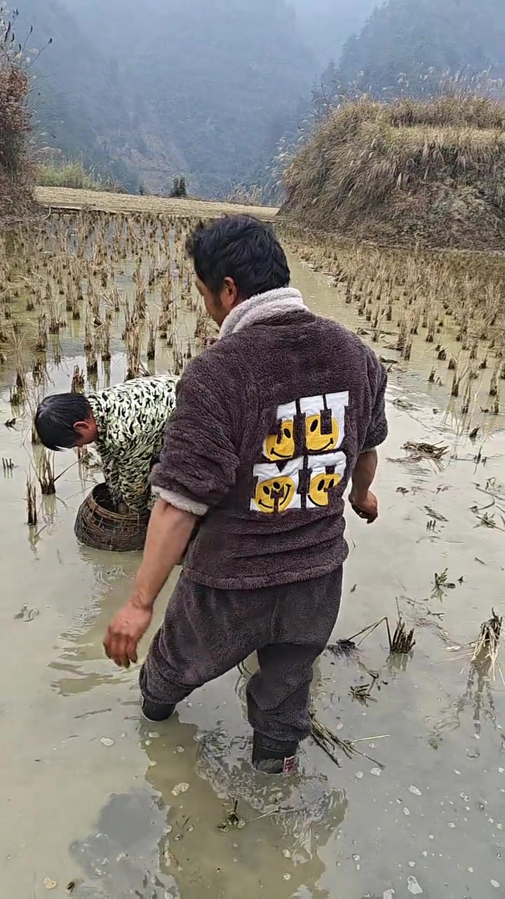 鲜香美味，快来吃稻草鱼了！