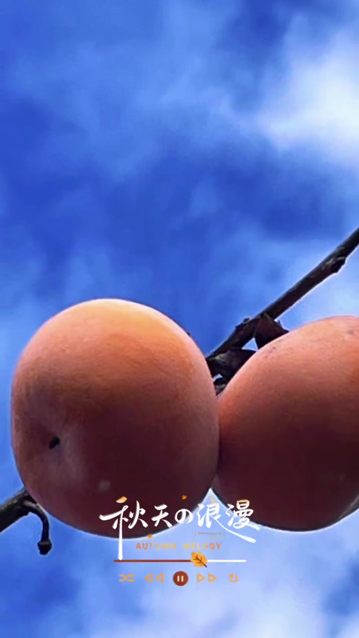 秋天的柿子熟了，祝友友柿柿如意