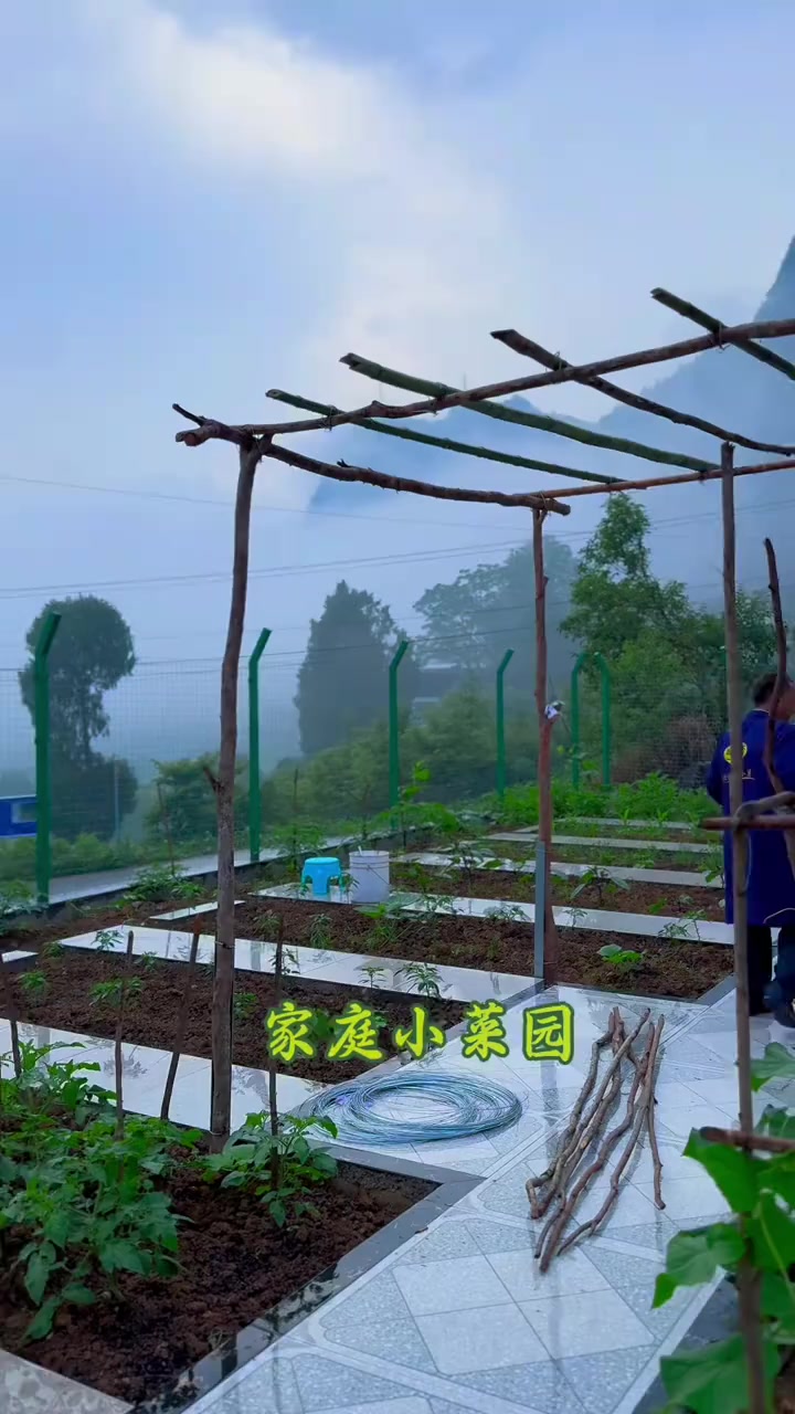 正在打造中的家庭菜园：耕耘小院