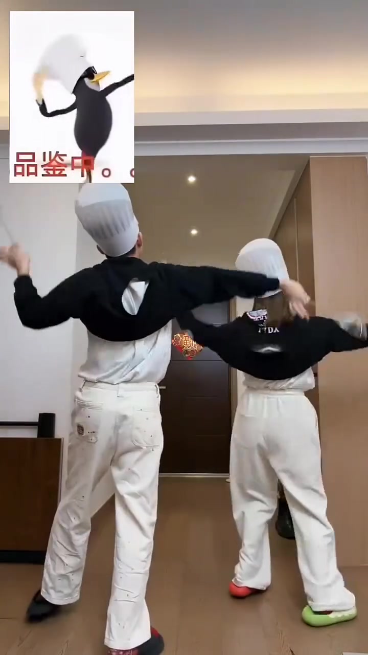 两只疯狂的企鹅！