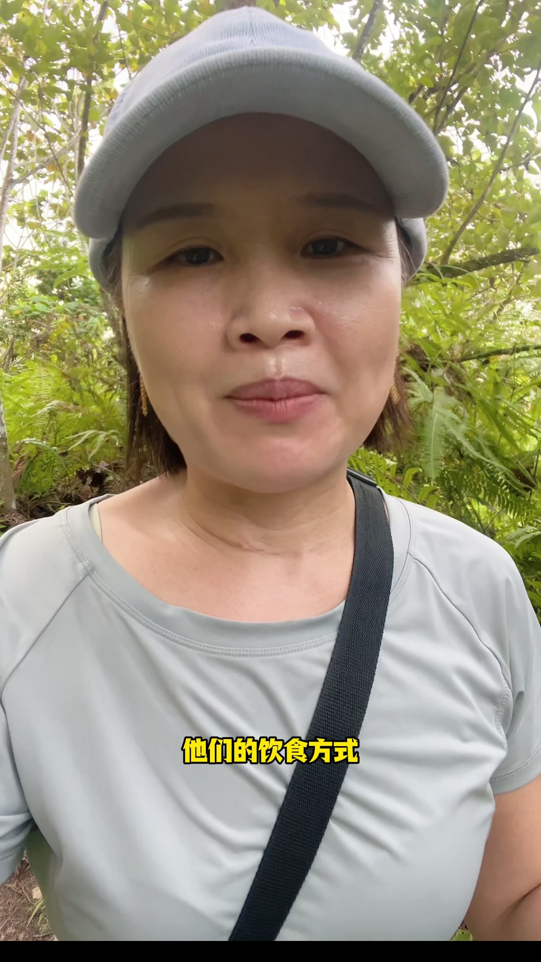 巨大的叶子，果实可吃，这是马来西亚的面包树