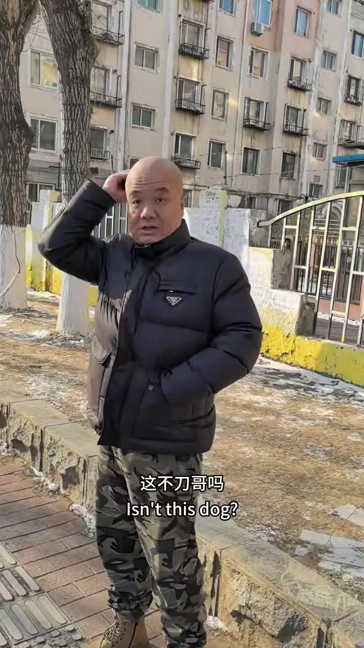 刀哥在沈阳大街对面开了好果汁奶茶店