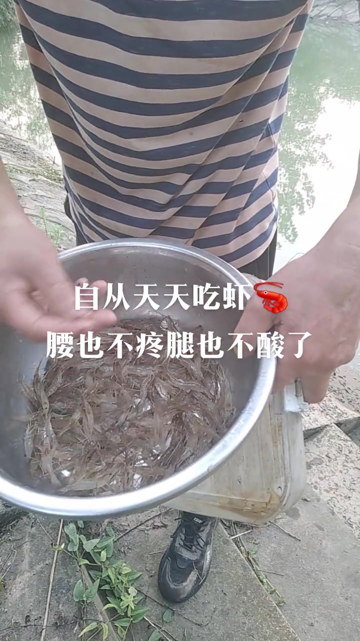 野生河虾鲜美无比,你吃过吗?