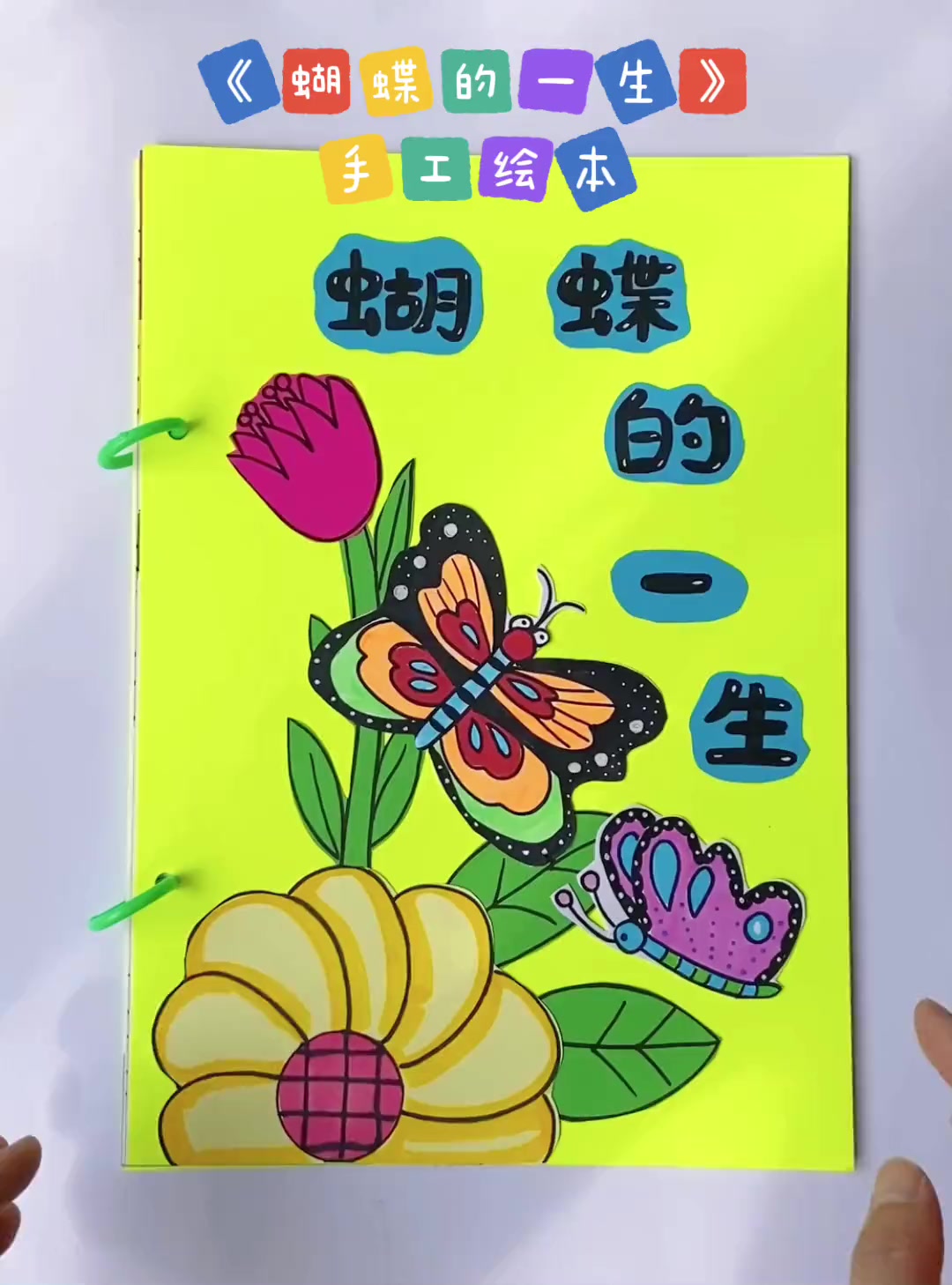《蝴蝶的一生》手工绘本来咯！一起来看看蝴蝶的生长需要经历哪些过程吧！