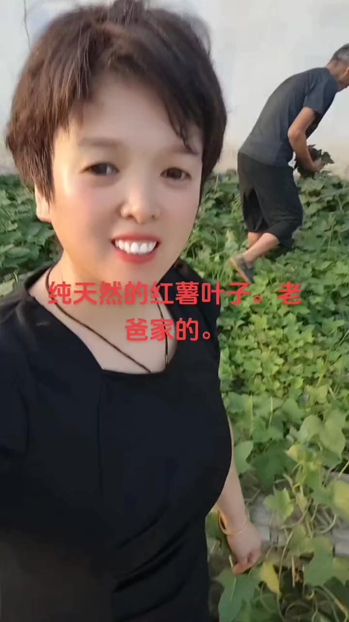 农村的空气就是好，自己种的纯天然的绿色蔬菜，这就是农村的生活，美丽的家乡田园风光
