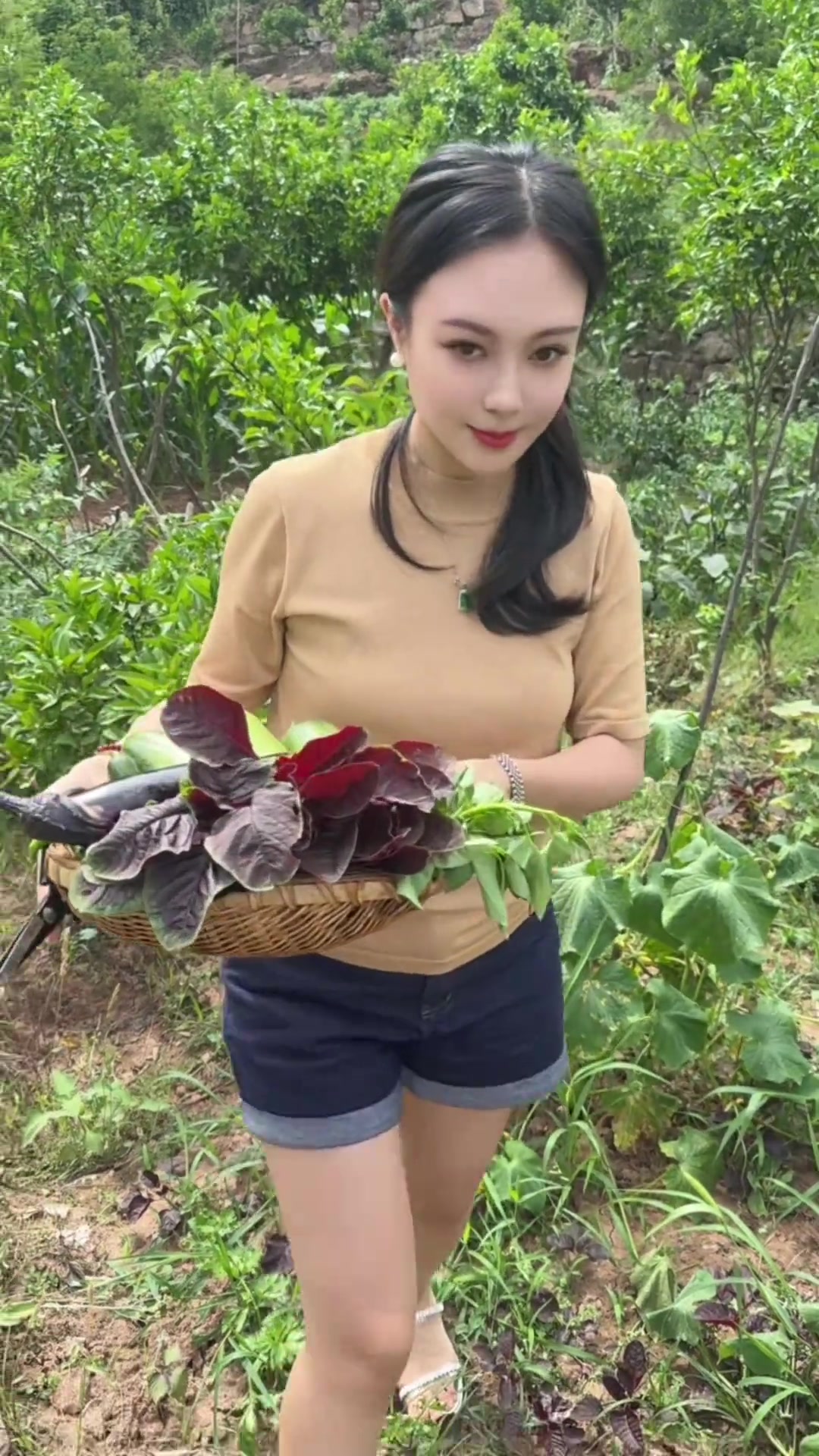 江湖菜菜单：炒鳝鱼，烧田鸡，来凤鱼
