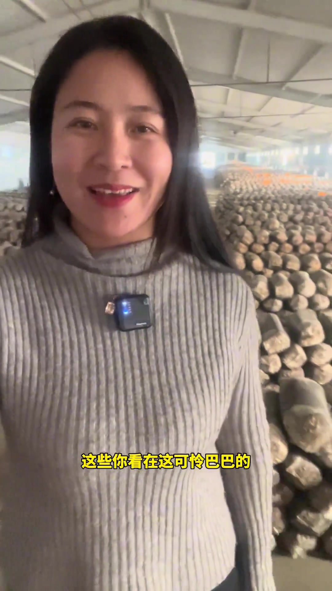 蘑菇价格咋样