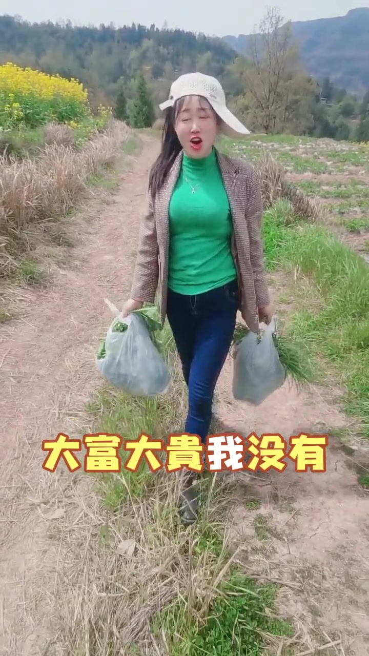 农村人回去看看油菜籽风吹倒没有，洋芋生长出来没有，这就是我一天工作结束了，随便挖点点野葱子