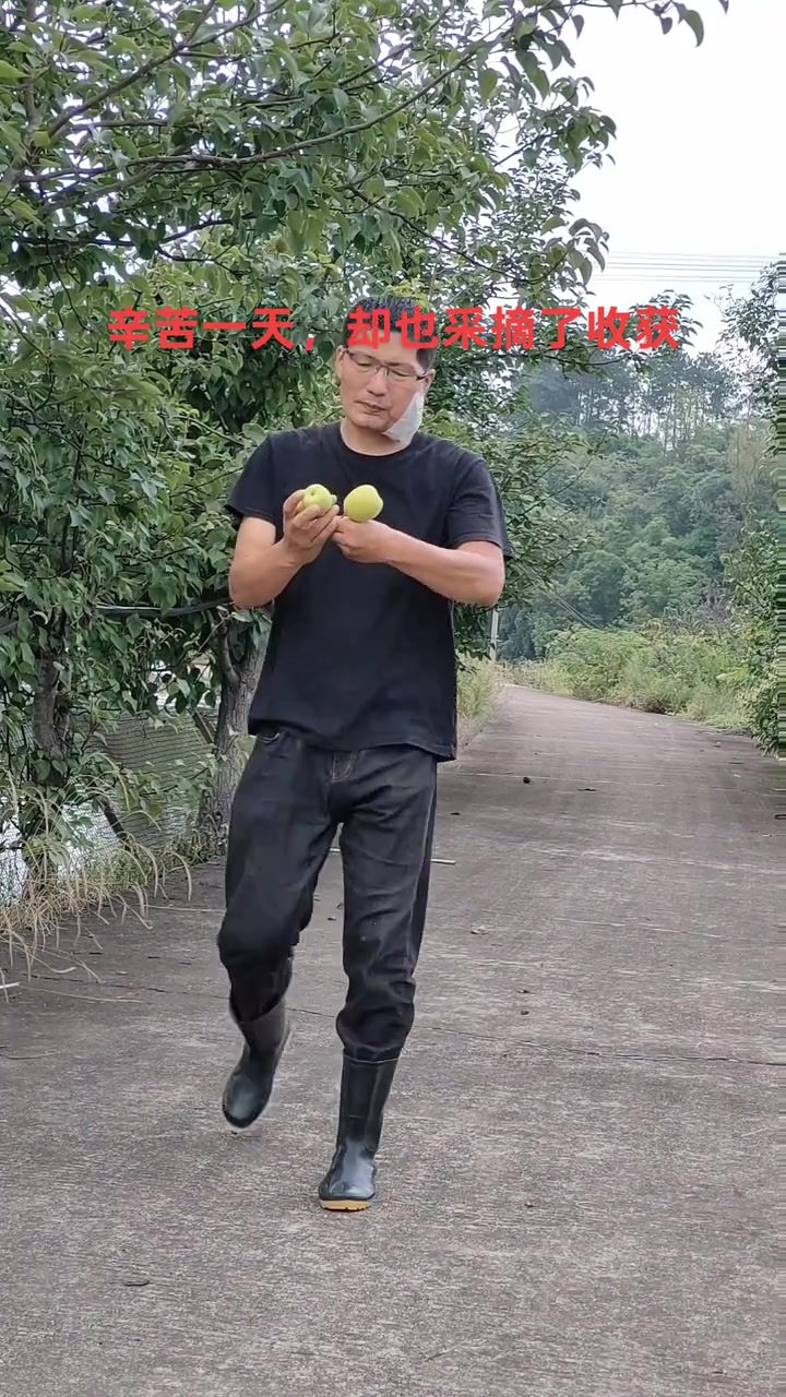 一样的坚强,每天都一样,收工时刻,采摘几个还不完全成熟的鸭梨,解解馋