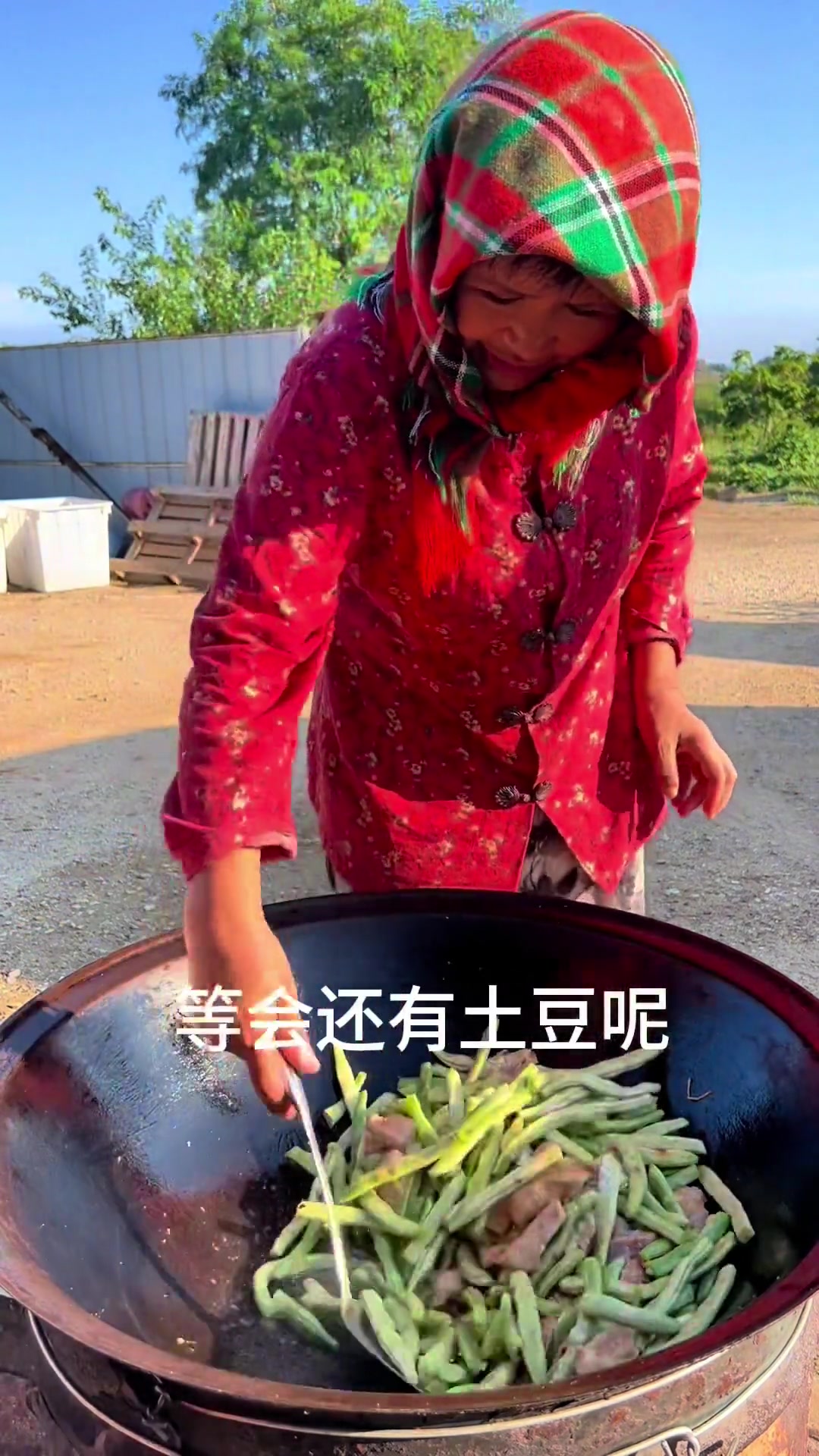 萝卜菜包海螺须馅的包子，简直太美味了