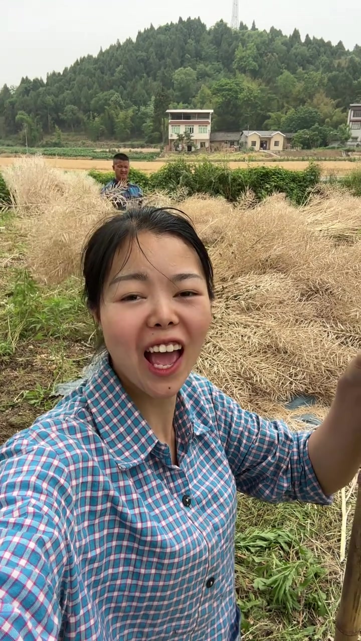 今年的油菜籽太好了，大丰收