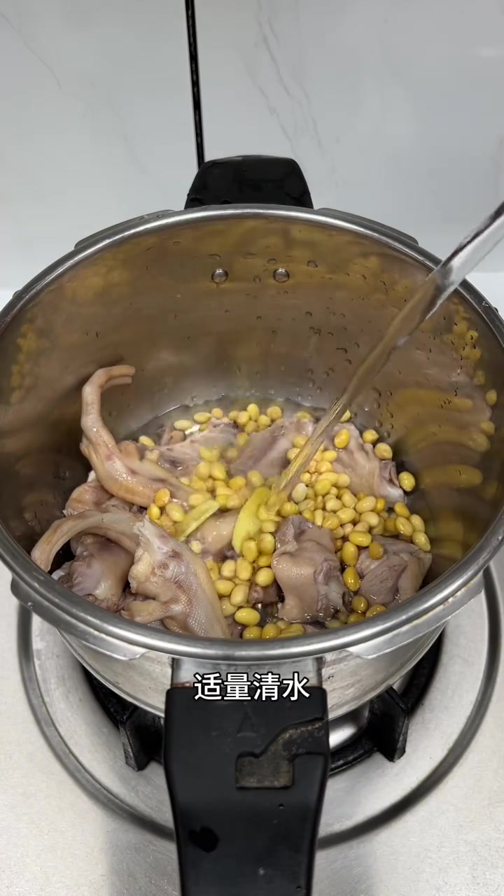 潮汕家常菜鸭脚翅白萝卜汤，汤鲜味美，真好喝
