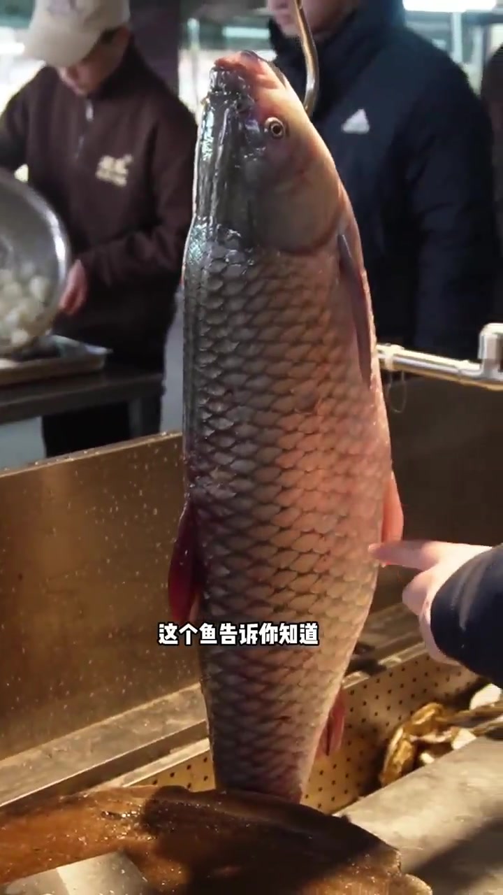 兄弟们，广东脆皖鱼，想吃不？过年氛围提前搞起来！