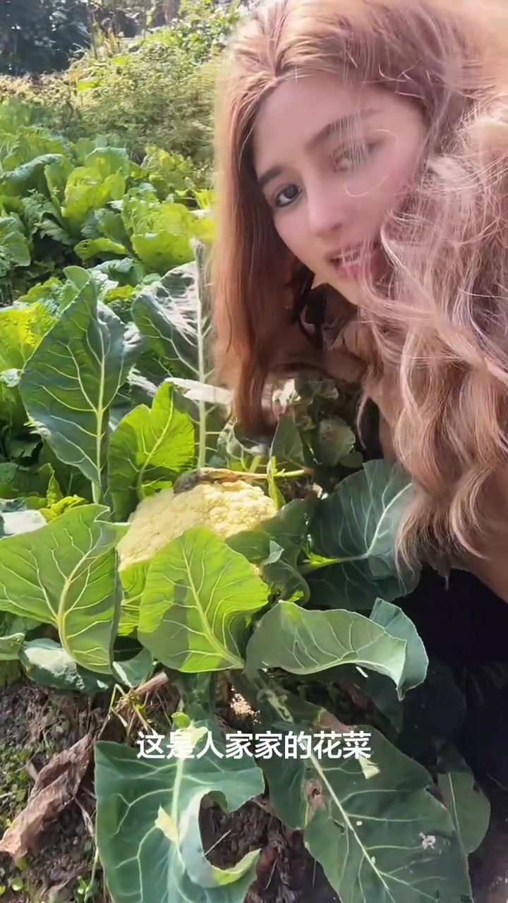 把你们的过年口粮晒出来，我想看看你们妈妈种的菜是什么样的？