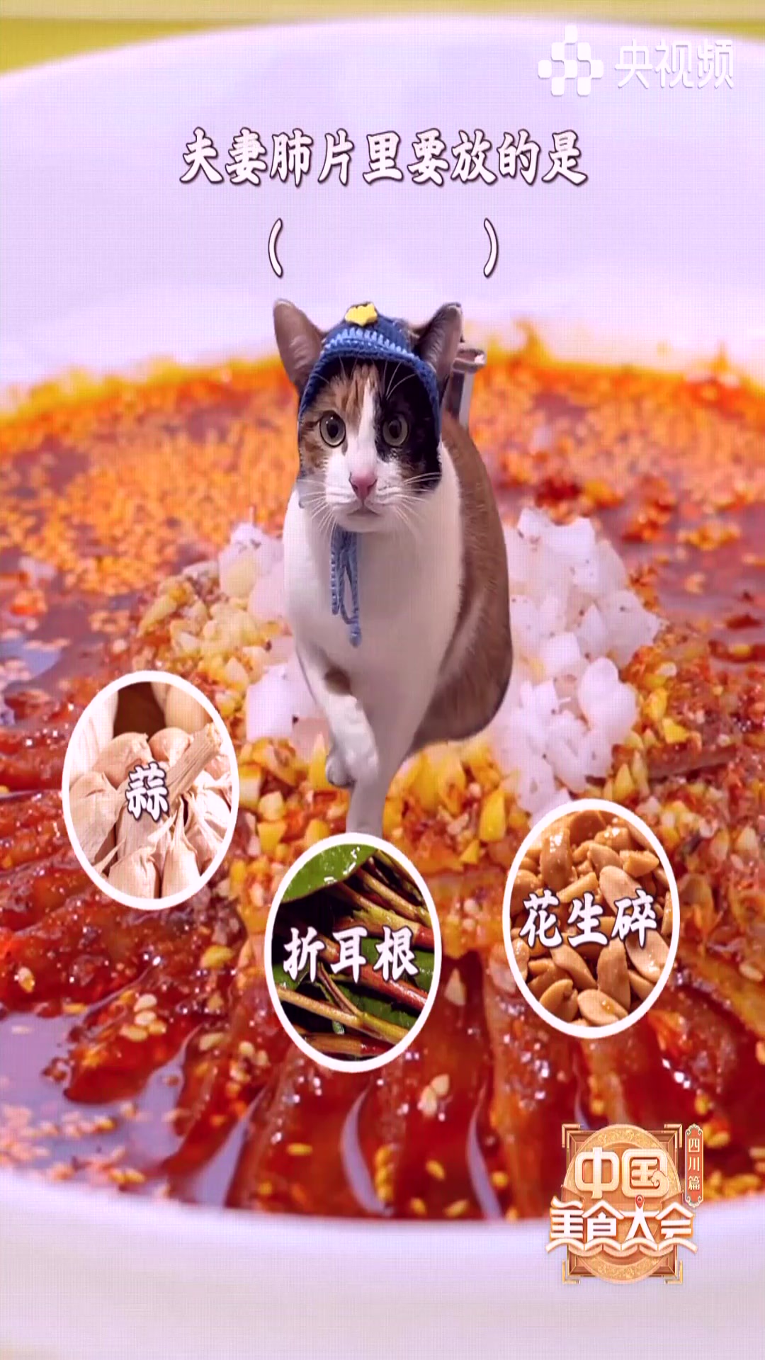 川菜有属于自己的说明书！夫妻肺片里都有什么？棒棒鸡为什么叫这个名字？